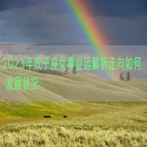 2023年双子座女事业运解析走向如何  发展状况