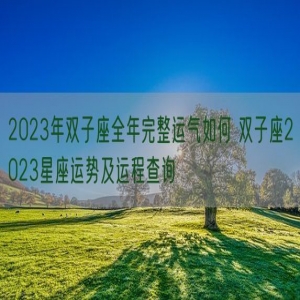 2023年双子座全年完整运气如何 双子座2023星座运势及运程查询 