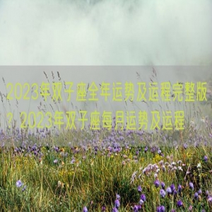 2023年双子座全年运势及运程完整版？2023年双子座每月运势及运程