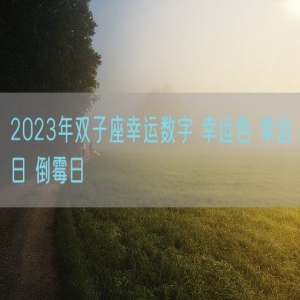 2023年双子座幸运数字 幸运色 幸运日 倒霉日