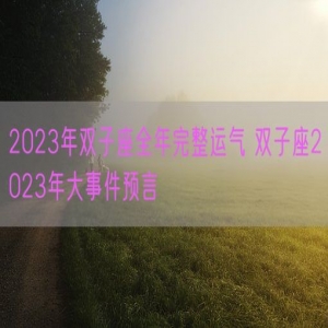 2023年双子座全年完整运气 双子座2023年大事件预言 