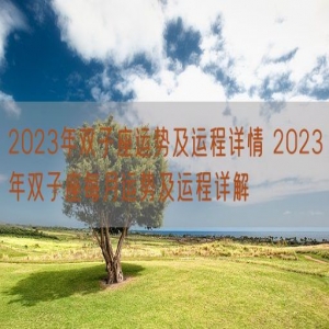 2023年双子座运势及运程详情 2023年双子座每月运势及运程详解
