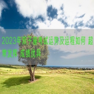 2023年双子座考试运势及运程如何 超常发挥 成绩优异
