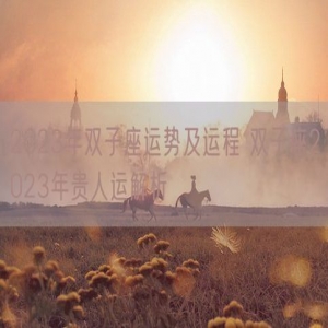 2023年双子座运势及运程 双子座2023年贵人运解析