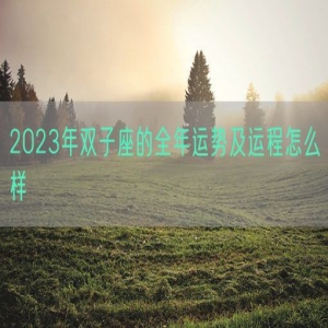 2023年双子座的全年运势及运程怎么样