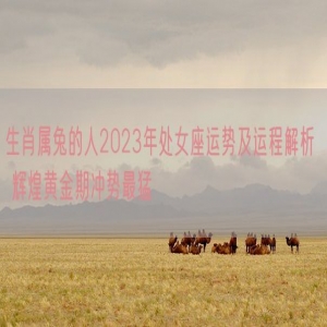 生肖属兔的人2023年处女座运势及运程解析  辉煌黄金期冲势最猛