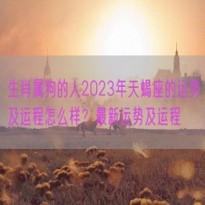 生肖属狗的人2023年天蝎座的运势及运程怎么样？最新运势及运程