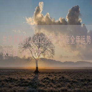 生肖属猴的人2023年天秤座全年运势及运程 马马虎虎