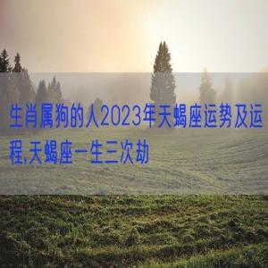 生肖属狗的人2023年天蝎座运势及运程,天蝎座一生三次劫