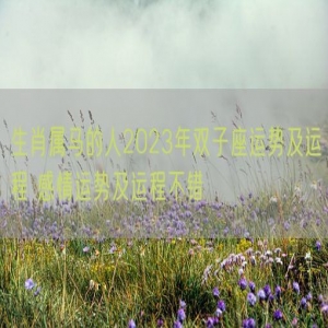 生肖属马的人2023年双子座运势及运程 感情运势及运程不错 