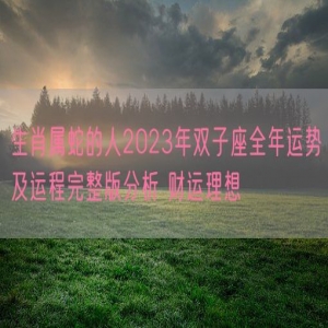生肖属蛇的人2023年双子座全年运势及运程完整版分析 财运理想