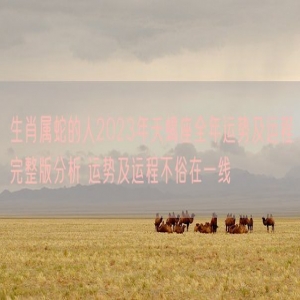 生肖属蛇的人2023年天蝎座全年运势及运程完整版分析 运势及运程不俗在一线