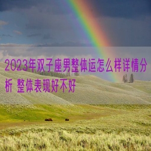 2023年双子座男整体运怎么样详情分析 整体表现好不好
