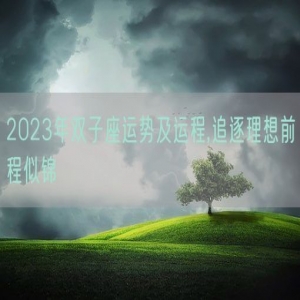 2023年双子座运势及运程,追逐理想前程似锦