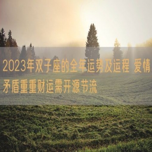 2023年双子座的全年运势及运程 爱情矛盾重重财运需开源节流
