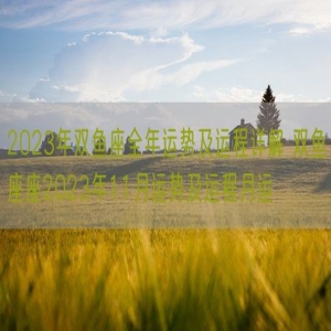 2023年双鱼座全年运势及运程详解 双鱼座座2023年11月运势及运程月运