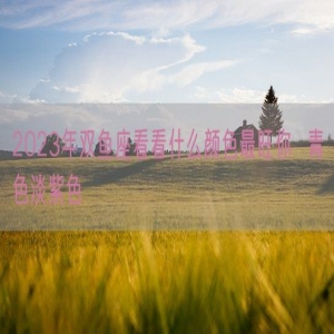 2023年双鱼座看看什么颜色最旺你  青色淡紫色