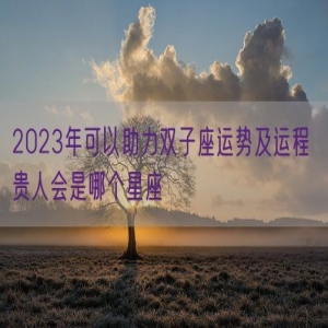 2023年可以助力双子座运势及运程 贵人会是哪个星座