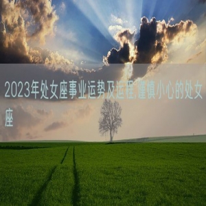 2023年处女座事业运势及运程,谨慎小心的处女座
