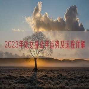 2023年处女座全年运势及运程详解