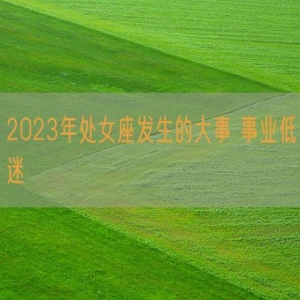 2023年处女座发生的大事 事业低迷