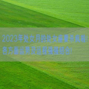 2023年处女月的处女座要杀疯啦!各方面运势及运程强强结合!