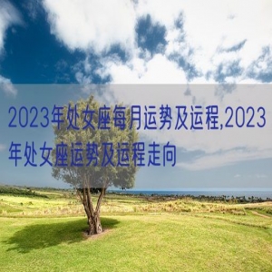 2023年处女座每月运势及运程,2023年处女座运势及运程走向