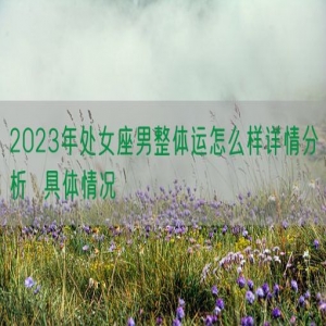 2023年处女座男整体运怎么样详情分析  具体情况
