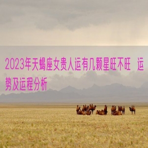 2023年天蝎座女贵人运有几颗星旺不旺  运势及运程分析