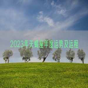 2023年天蝎座年度运势及运程