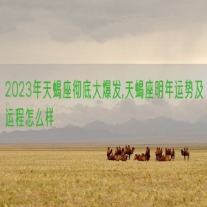 2023年天蝎座彻底大爆发,天蝎座明年运势及运程怎么样