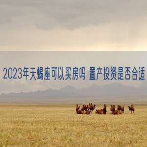 2023年天蝎座可以买房吗 置产投资是否合适