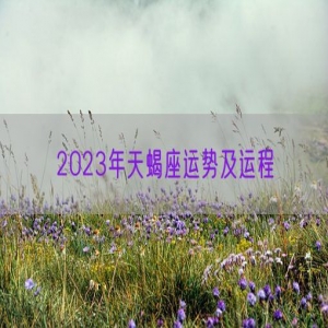 2023年天蝎座运势及运程