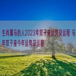生肖属马的人2023年双子座运势及运程 马年双子座今年运势及运程