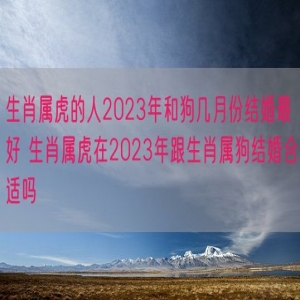 生肖属虎的人2023年和狗几月份结婚最好 生肖属虎在2023年跟生肖属狗结婚合适吗