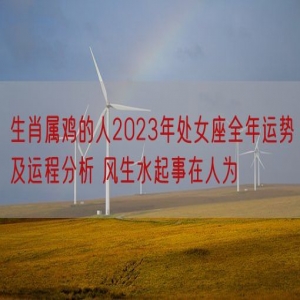 生肖属鸡的人2023年处女座全年运势及运程分析 风生水起事在人为