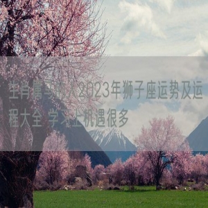 生肖属马的人2023年狮子座运势及运程大全 学习上机遇很多