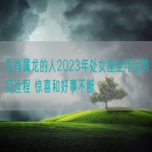 生肖属龙的人2023年处女座全年运势及运程 惊喜和好事不断
