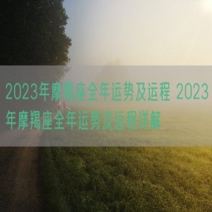 2023年摩羯座全年运势及运程 2023年摩羯座全年运势及运程详解