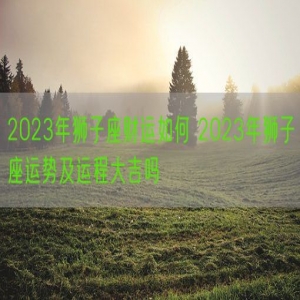 2023年狮子座财运如何 2023年狮子座运势及运程大吉吗