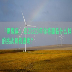 「摩羯座」在2023年你将面临什么样的挑战和机遇呢？