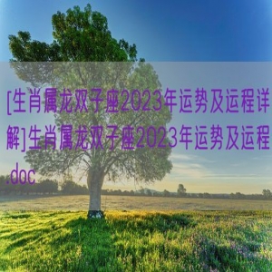 [生肖属龙双子座2023年运势及运程详解]生肖属龙双子座2023年运势及运程.doc