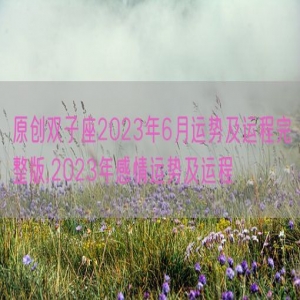 原创双子座2023年6月运势及运程完整版,2023年感情运势及运程