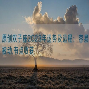 原创双子座2023年运势及运程：容易被动,有点收获