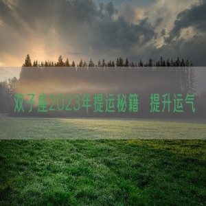 双子座2023年提运秘籍  提升运气