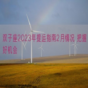 双子座2023年提运指南2月情况 把握好机会    
