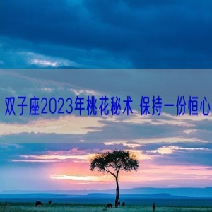 双子座2023年桃花秘术 保持一份恒心