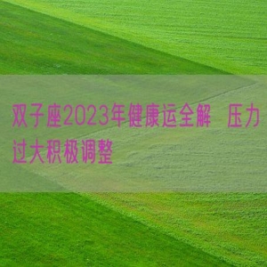 双子座2023年健康运全解  压力过大积极调整
