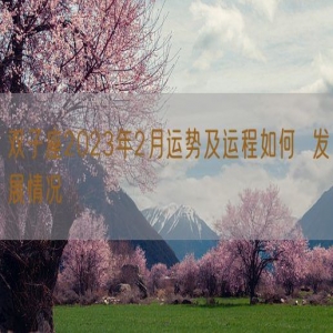 双子座2023年2月运势及运程如何  发展情况