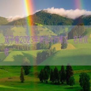 双子座2023年财运4月情况  名利双收    